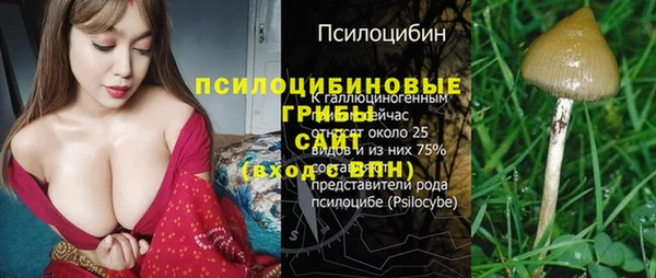 a pvp Белокуриха