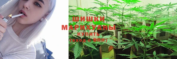 соль ск Ладушкин