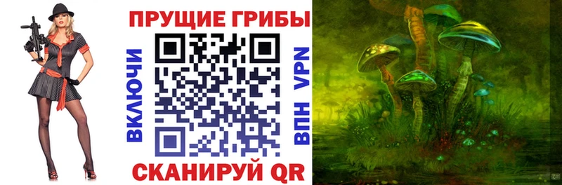Галлюциногенные грибы Psilocybe  где продают наркотики  Черемхово 