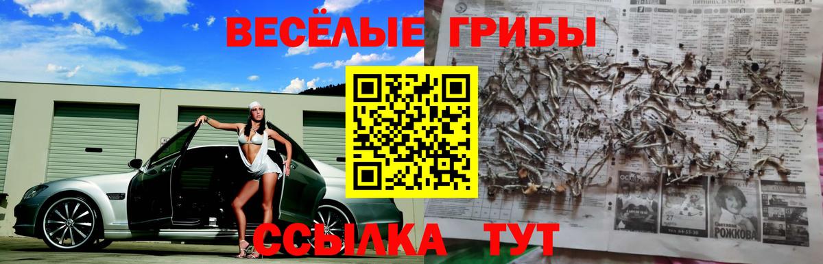 Псилоцибиновые грибы ЛСД  Вход с VPN  Черемхово 